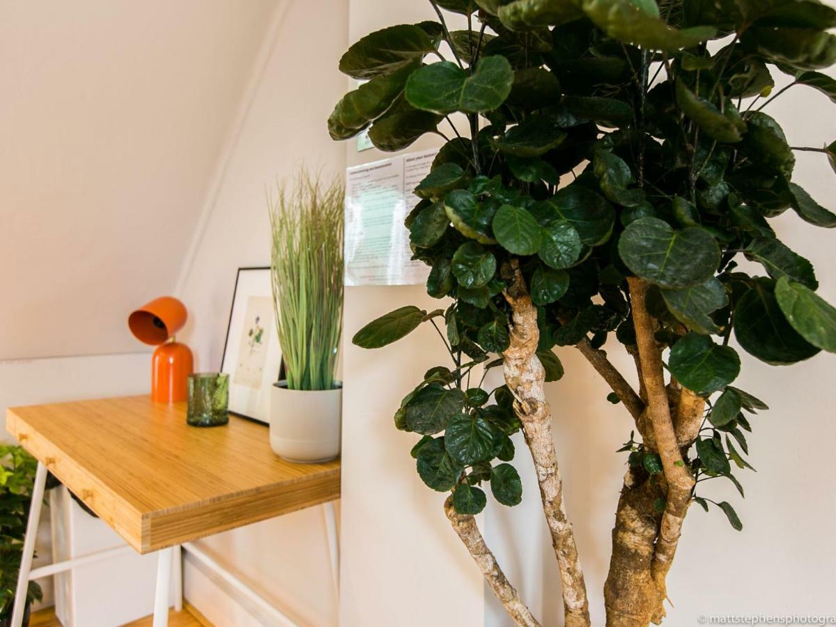 Exquisite 3Bdr Botanical Oasis In Central Hove Exterior foto